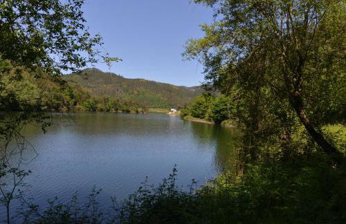 Casa do Vouga - Foto 4