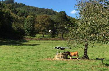 Agroturismo La Casona de Belmonte - Foto 60