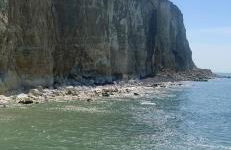 Spacious Family Getaway - Foto 11