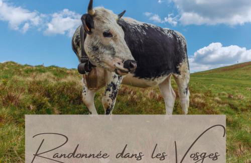 Appartement Jeanne - Foto 21