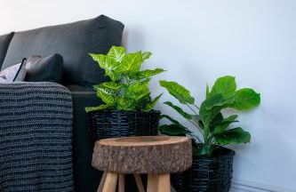 Apartamentos Turísticos Casa Arango - Foto 74