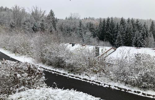Ferienhaus Brandt im Ferienpark Falkenstein - Foto 62