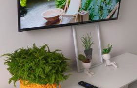 Apartamento para locação em Itajai SC - Foto 12