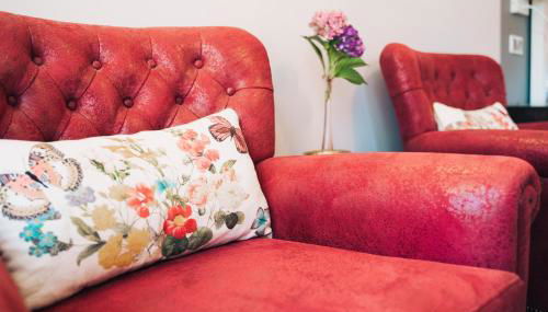 Arca dos Animais - Farming & SPA - Foto 5