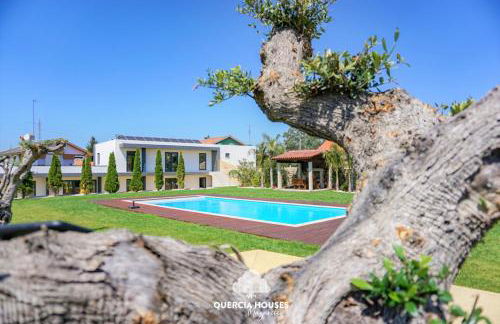 Quercia Houses in Viana do Castelo - Photo 56