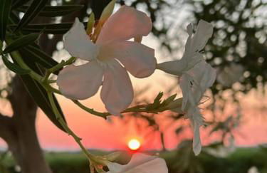 Casa Barbara Sardinia - Foto 23