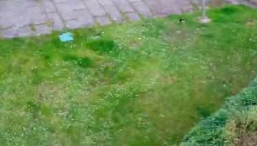 Castelao AP - Photo 4, Garden view