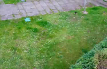 Castelao AP - Photo 4