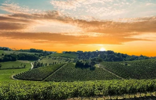 La Culla Tra I Vigneti - Foto 25