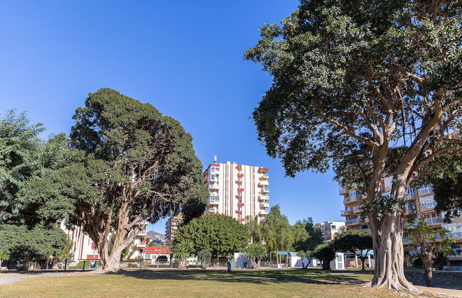 Holidays2Arroyo de la Miel Hercules - Foto 20