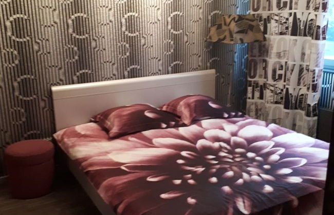 Luxe Gastenverblijf Kamerton - Foto 4