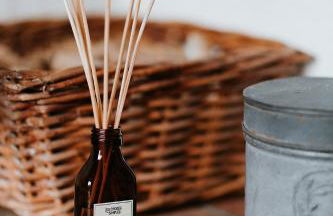 Gîtes du Bulz, en pleine forêt proche de la mer - Photo 14