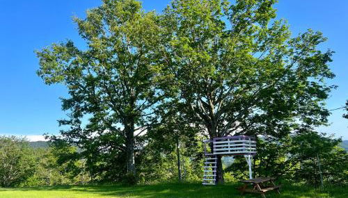 Agriturismo Il Serrino - Foto 2