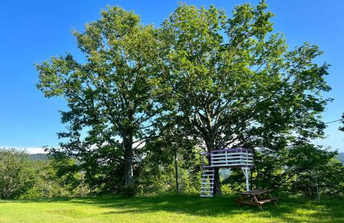 Agriturismo Il Serrino - Foto 2