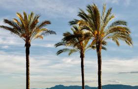 El Bikini Cullera - Junto a la playa - Right on the beach - Photo 33