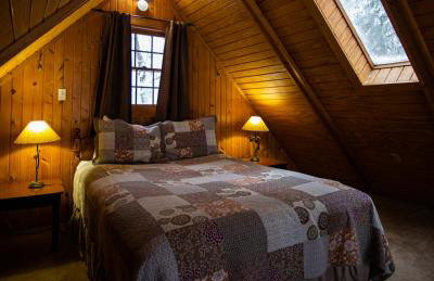 Elk - by The Chalets - Foto 15