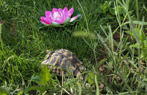 Villa Verde Royal - Foto 44