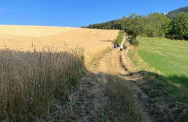 Studio Beethoven - Foto 31