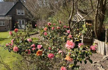 Willowherb and Foxglove Cottages Hawick - Photo 25