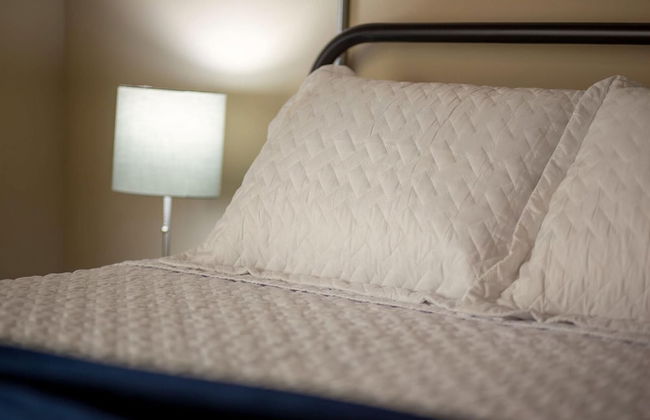 Gorgeous Guesthouse Near Amazing Downtown - Foto 23