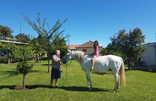 Quinta de Santa Marinha - Foto 22