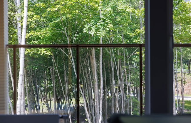 LYS GRACIEUX【Ezo Fuji hoothills】 - Photo 15