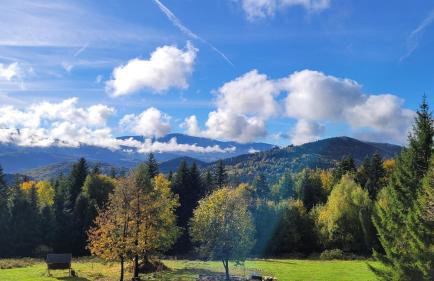 Domki na polanie - Foto 11