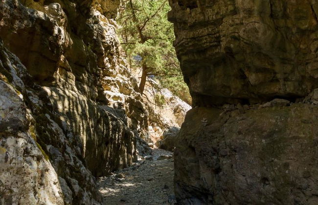 Garganta de Imbros - Tour de Dia Inteiro - Foto 12