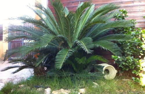 Villa Rosa - Foto 25