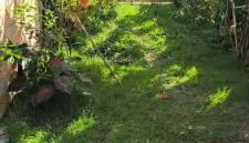 Casa da Cascata - Foto 2