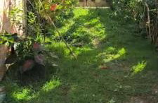 Casa da Cascata - Foto 2