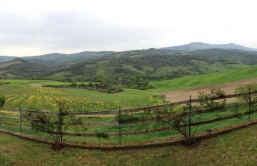 Agriturismo Podere del Vescovo - Foto 24