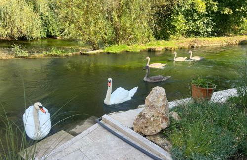 Ferienwohnung, 2 Zimmer, 4 bis 6 Personen, 67 qm, mit großem Balkon, entlang am Fluss, an der Aach, am Bodensee, nah am Naturschutzgebiet - Foto 52