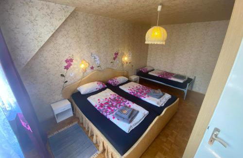 Ferienwohnungen / Ferienhaus Dillingen an der Donau - Foto 44