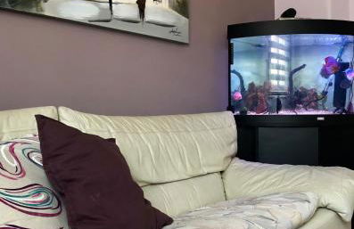 Casa Aurora - Foto 17