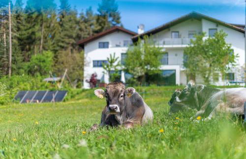 Haus Oberzöhr - Foto 1