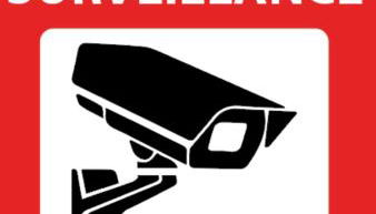 Le Chic Vintage - Photo 2