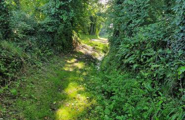 Ty Mamie spa - 700m de la plage - Foto 19