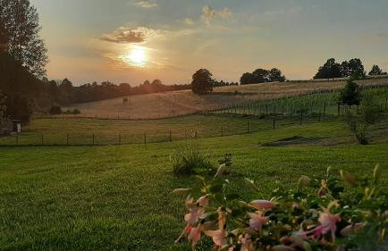 Agroturystyka Kruk - Photo 7