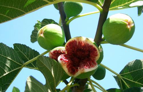 Apartment Benjamin - Photo 17