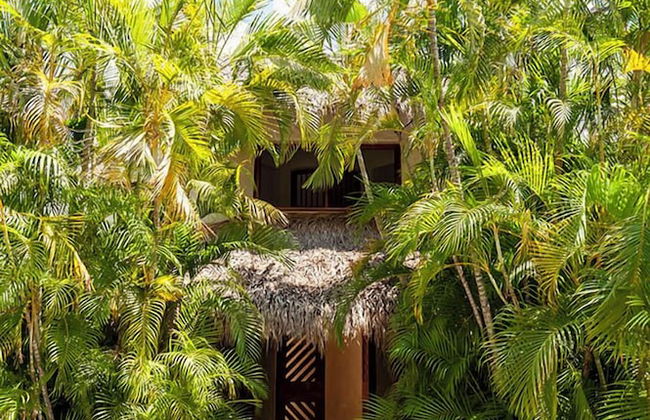 Isabela Ixtapa - Photo 24