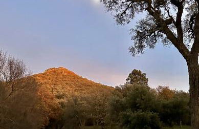 Mas rénové par un architecte - Foto 3