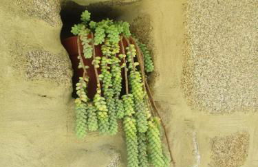 Quinta Damigo - Foto 29