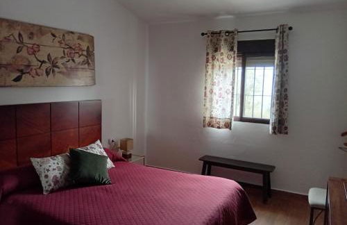 Finca Las Victorias - Foto 22