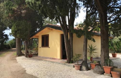 Bouganville in Villa Greco - Foto 21