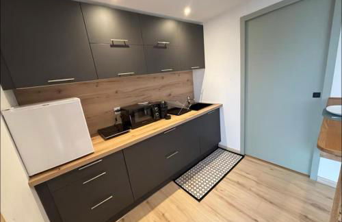 Petit cocon cosy entre lac et montagnes - Foto 5