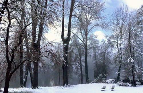 DunMovin’ Oregon - Foto 30