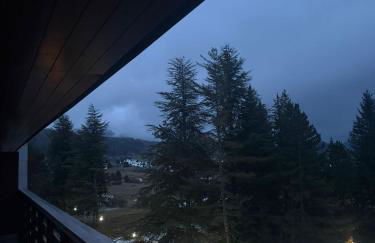 Natura, Sport, Relax in Pescasseroli Residence ERICA - Foto 22