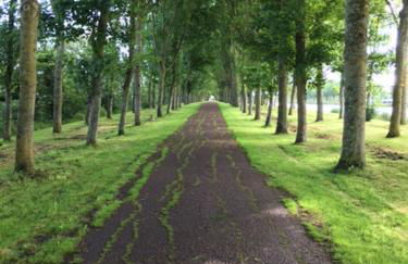 Le coin de mire - Photo 6