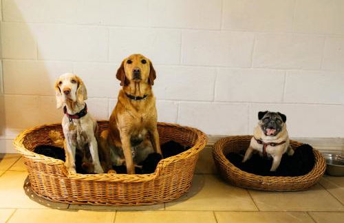 Fletland Mill and Holiday Hamlet - 18th century watermill, in stunning location near Stamford - Photo 7